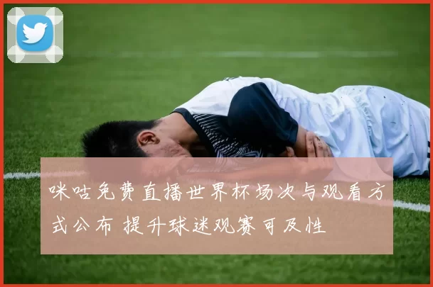 咪咕免费直播世界杯场次与观看方式公布 提升球迷观赛可及性