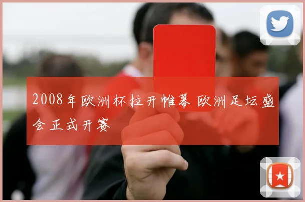 2008年欧洲杯拉开帷幕 欧洲足坛盛会正式开赛