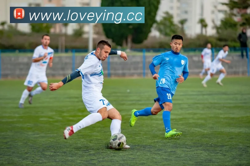 辅助工具 辅助工具